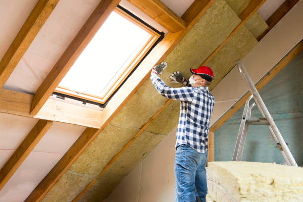 Professional Insulation Services in Fort Worth, TX